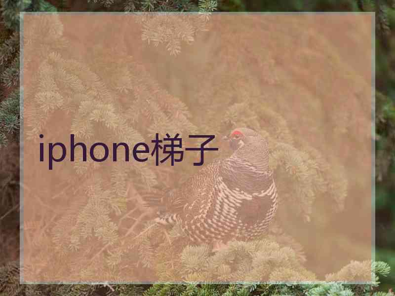 iphone梯子
