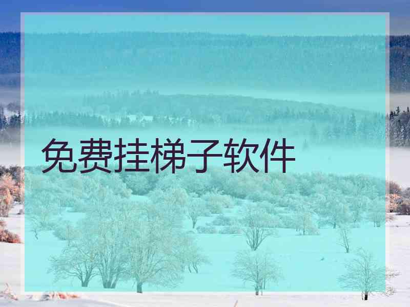 免费挂梯子软件