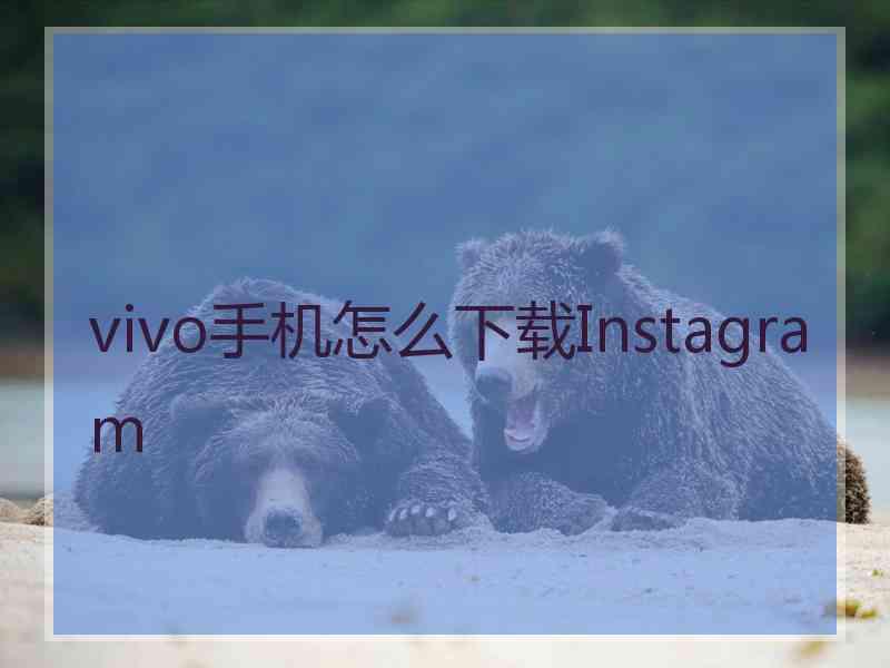 vivo手机怎么下载Instagram