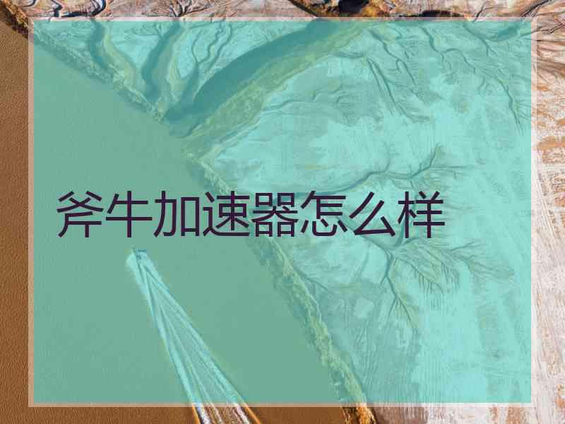 斧牛加速器怎么样