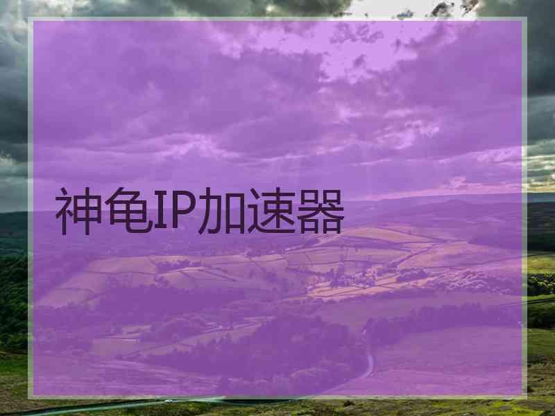 神龟IP加速器