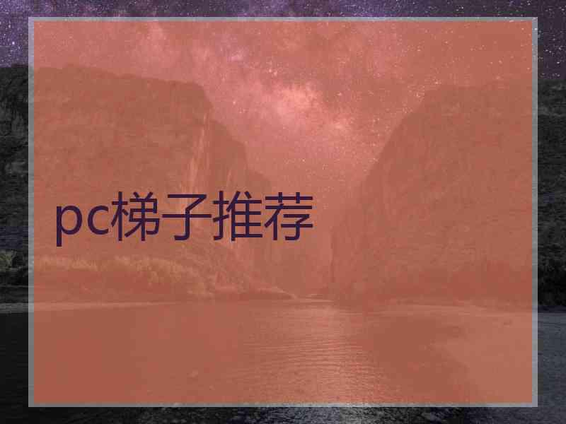pc梯子推荐