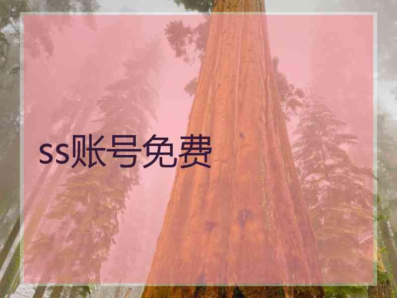 ss账号免费