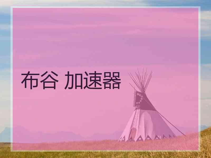 布谷 加速器