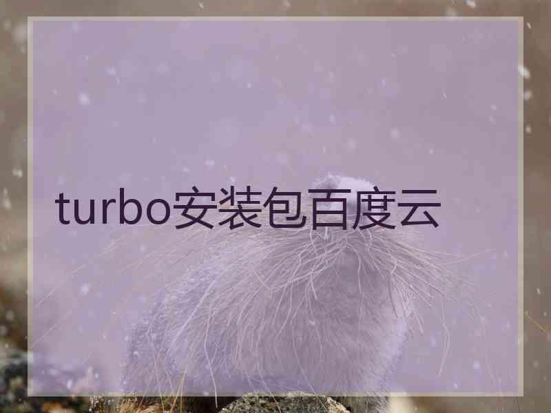 turbo安装包百度云
