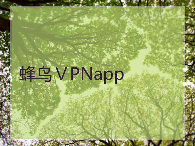 蜂鸟ⅤPNapp