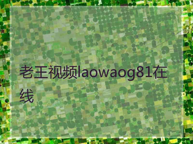 老王视频laowaog81在线