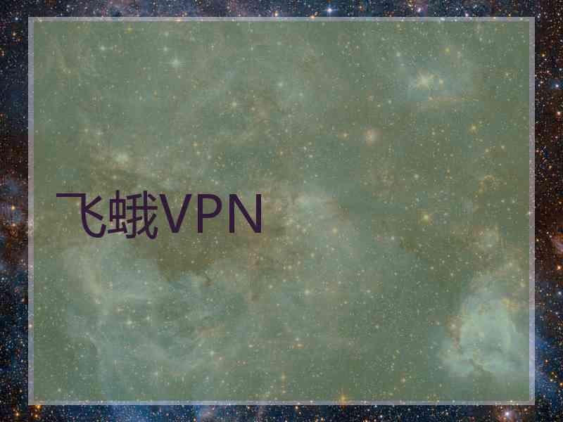 飞蛾VPN