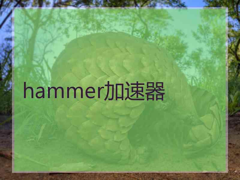 hammer加速器