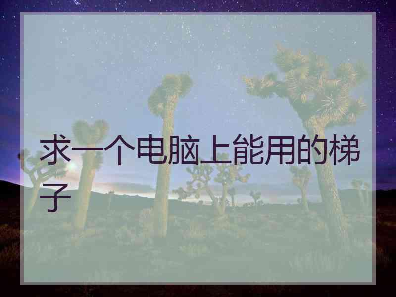 求一个电脑上能用的梯子