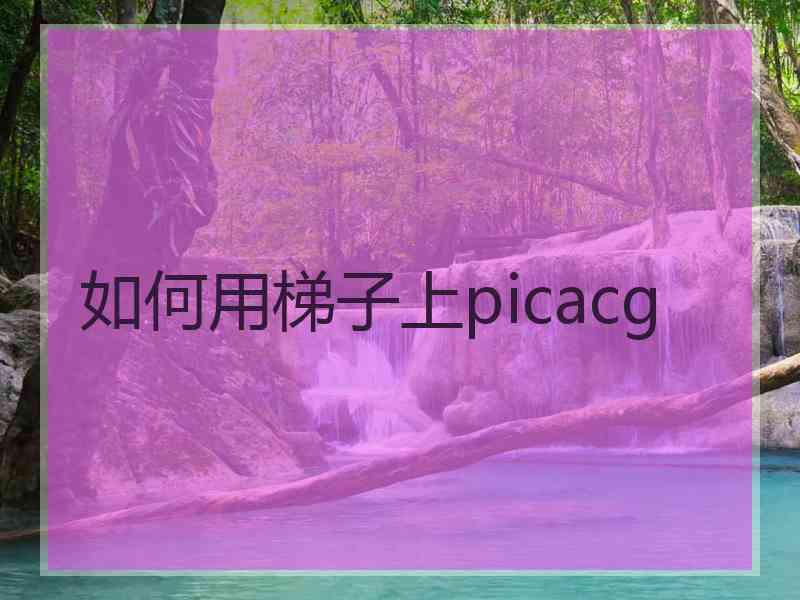 如何用梯子上picacg