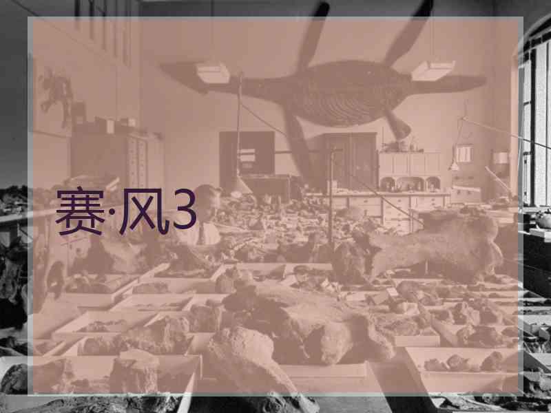 赛·风3