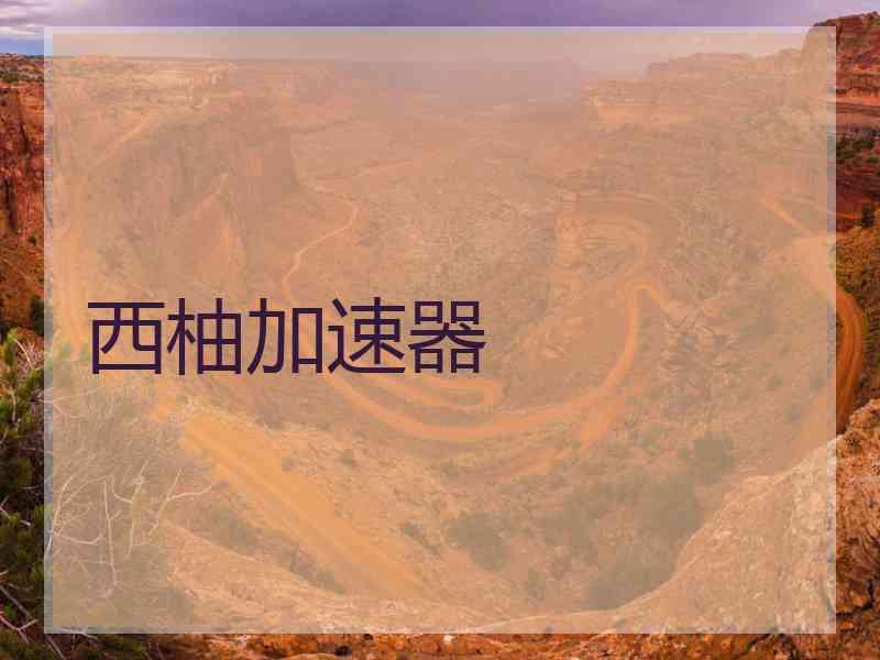 西柚加速器