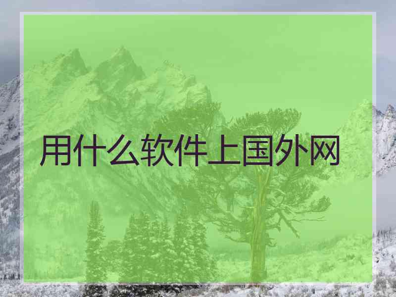 用什么软件上国外网