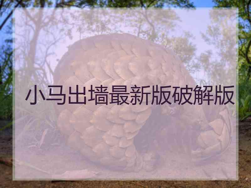 小马出墙最新版破解版