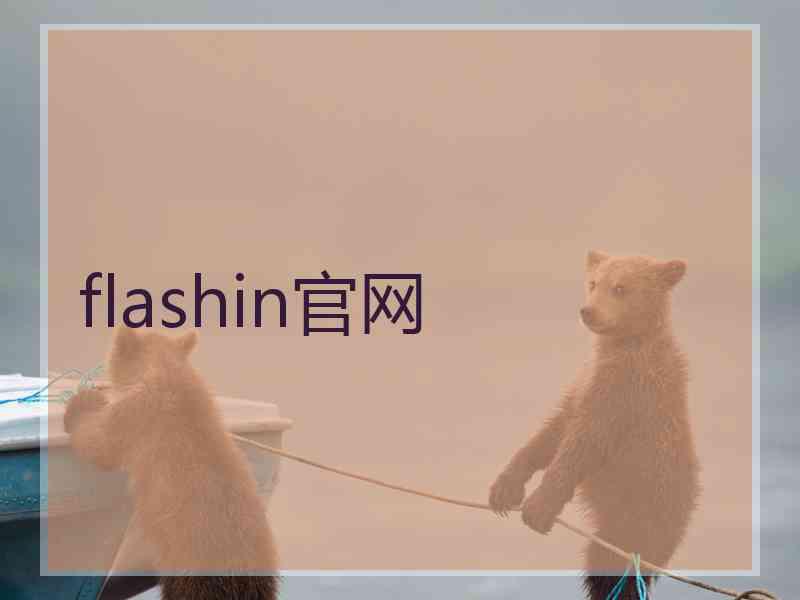 flashin官网
