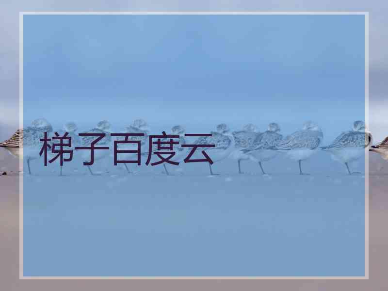 梯子百度云