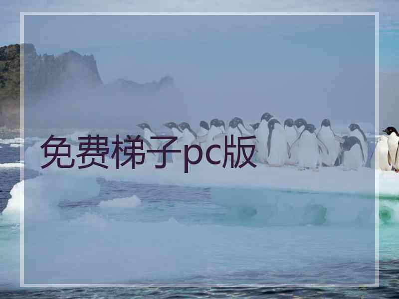 免费梯子pc版