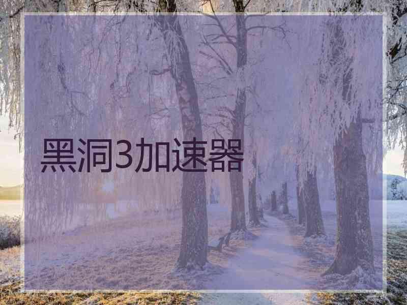 黑洞3加速器