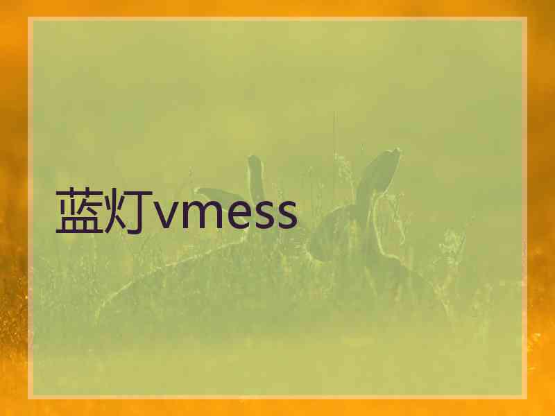 蓝灯vmess