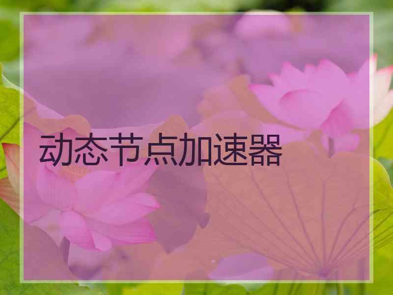 动态节点加速器
