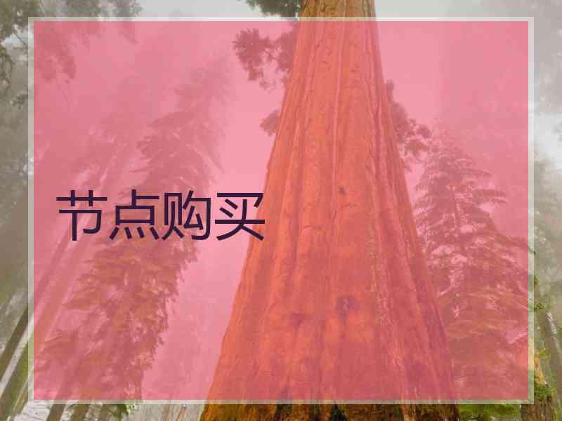 节点购买