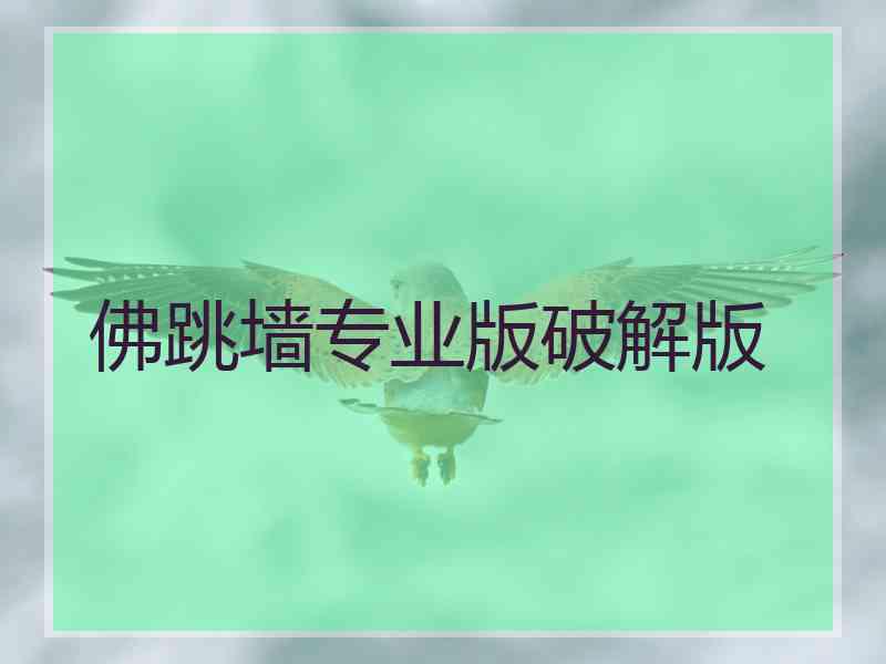 佛跳墙专业版破解版