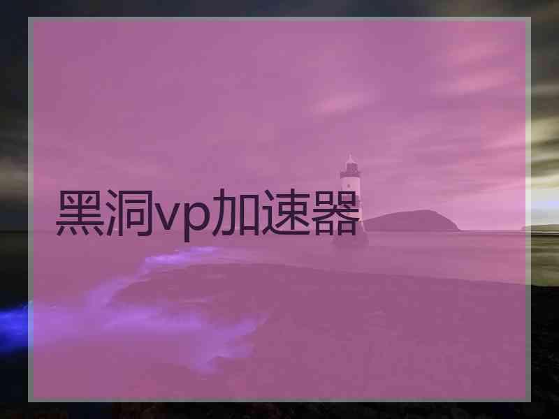 黑洞vp加速器