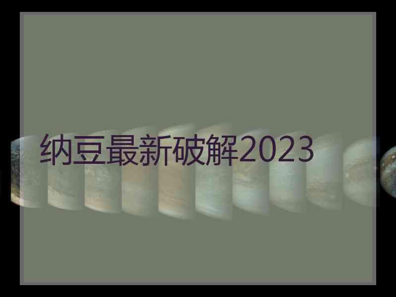 纳豆最新破解2023