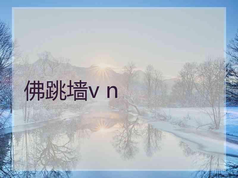 佛跳墙v n