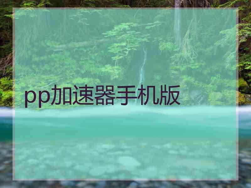 pp加速器手机版