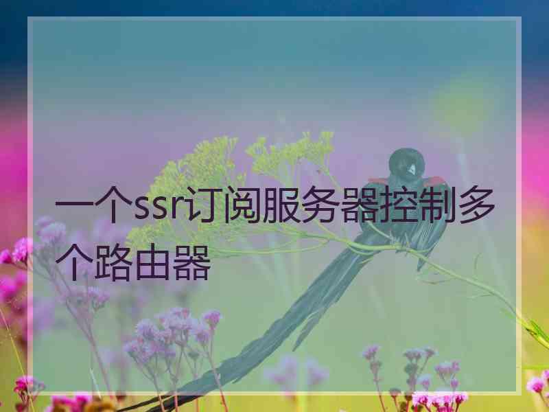 一个ssr订阅服务器控制多个路由器