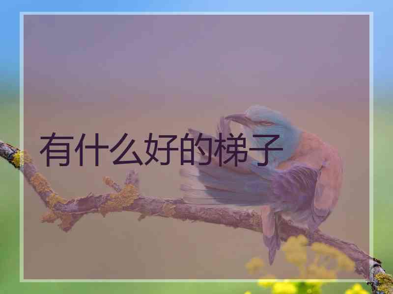 有什么好的梯子