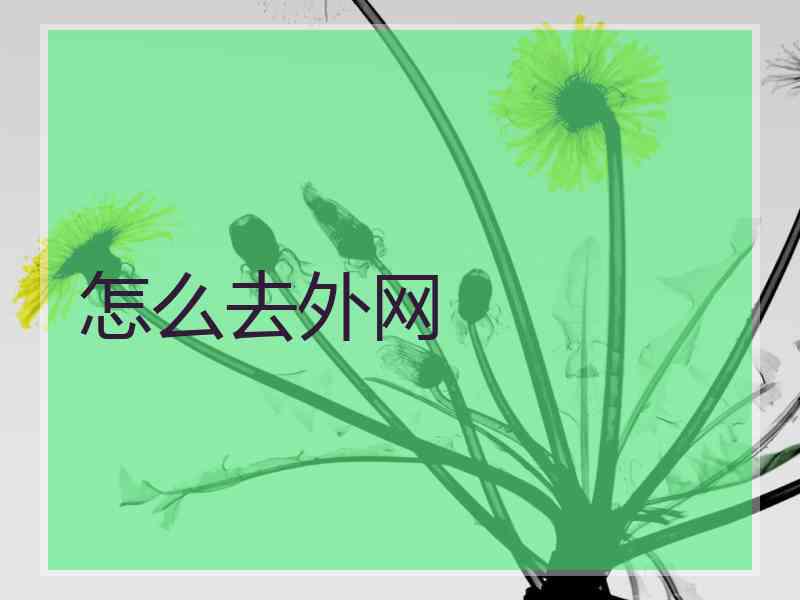 怎么去外网