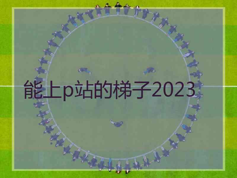 能上p站的梯子2023
