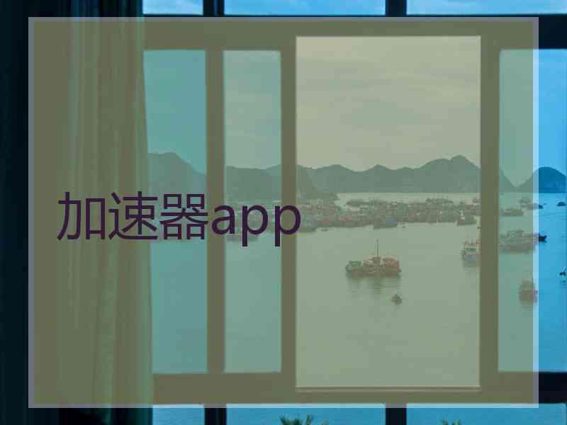 加速器app
