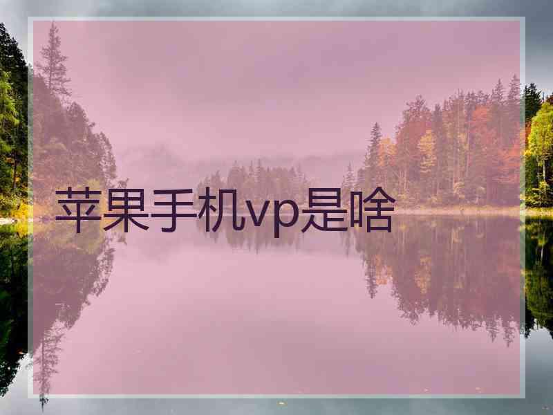 苹果手机vp是啥