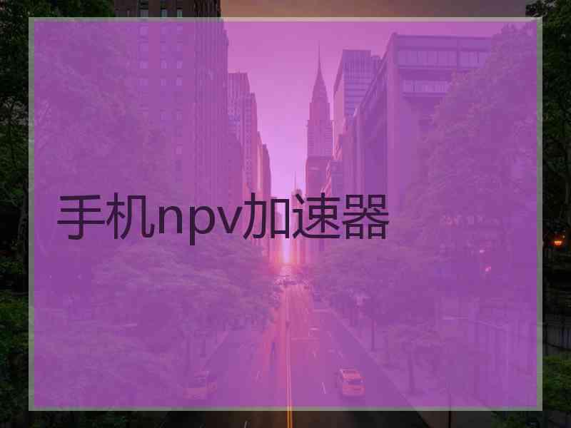 手机npv加速器