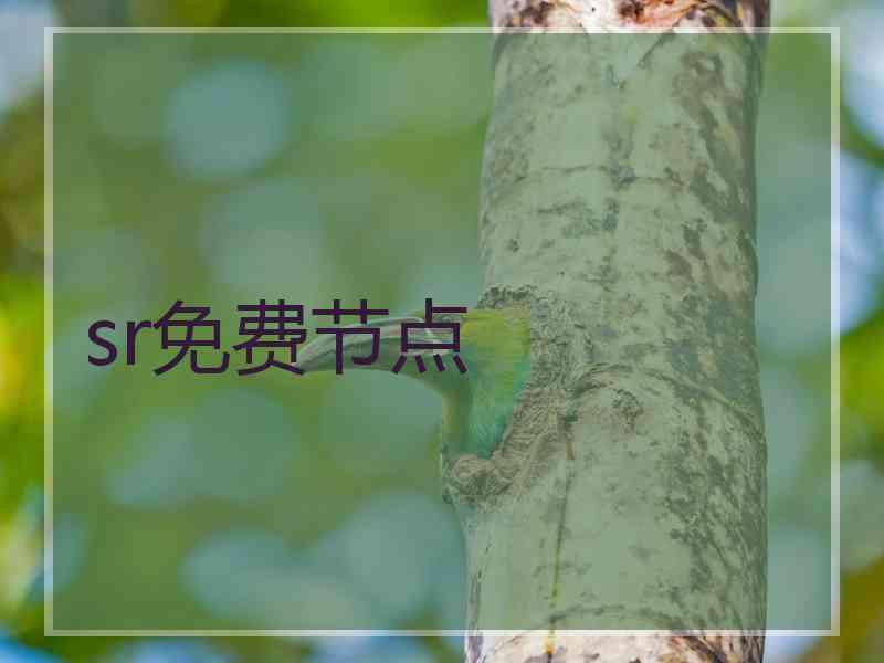 sr免费节点