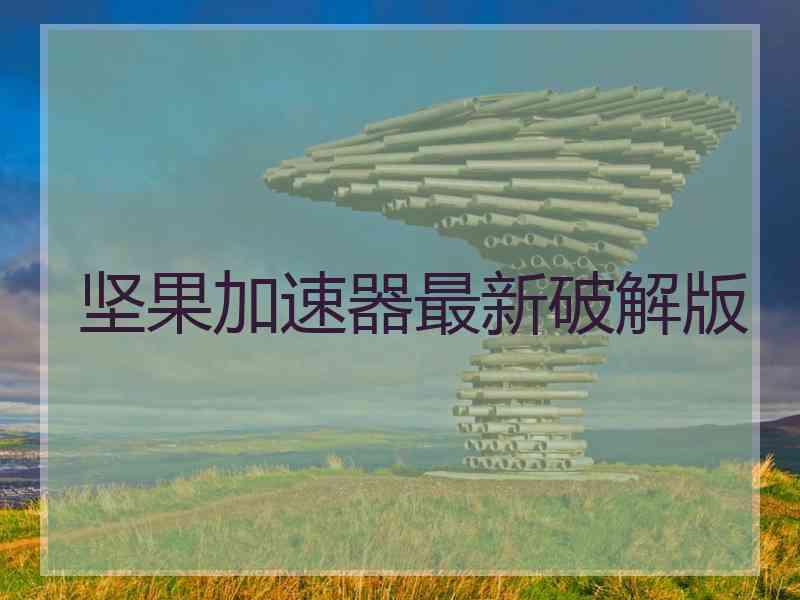 坚果加速器最新破解版