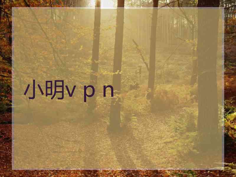 小明v p n