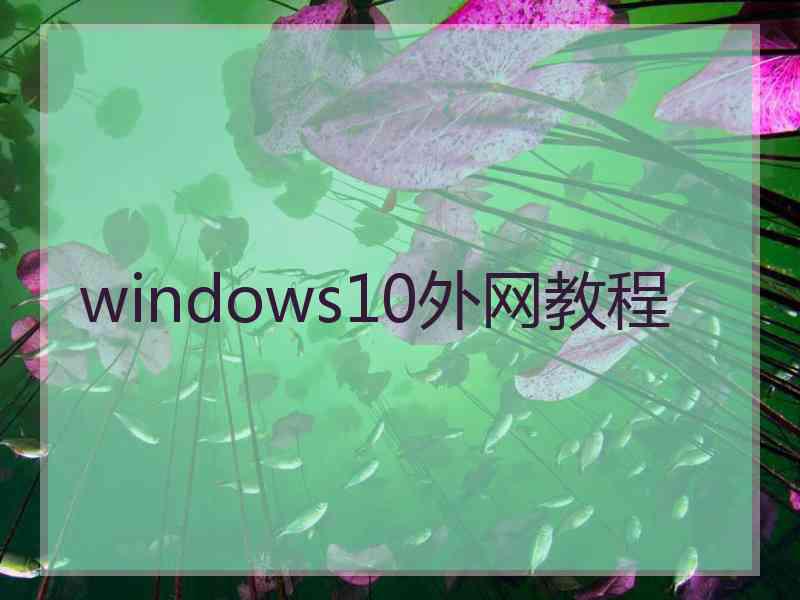 windows10外网教程
