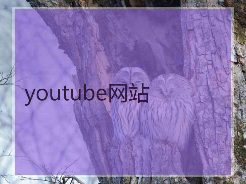 youtube网站