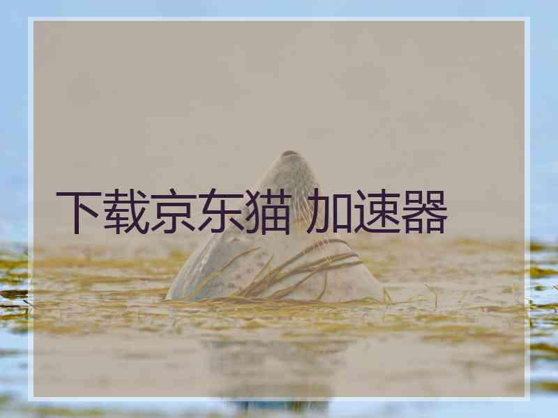 下载京东猫 加速器