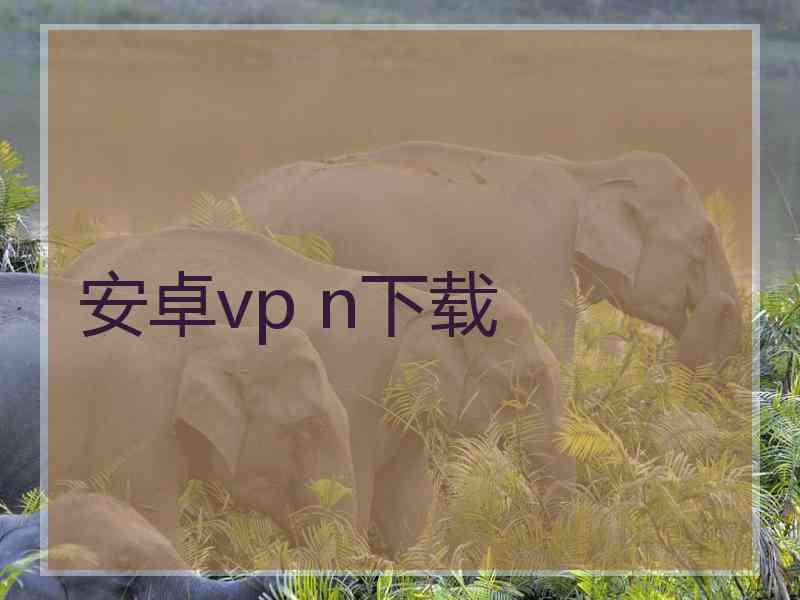 安卓vp n下载