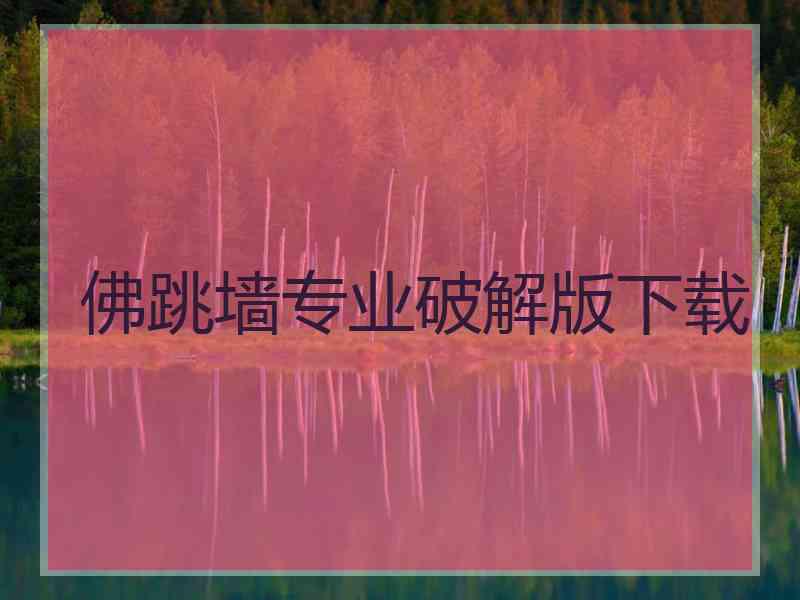 佛跳墙专业破解版下载