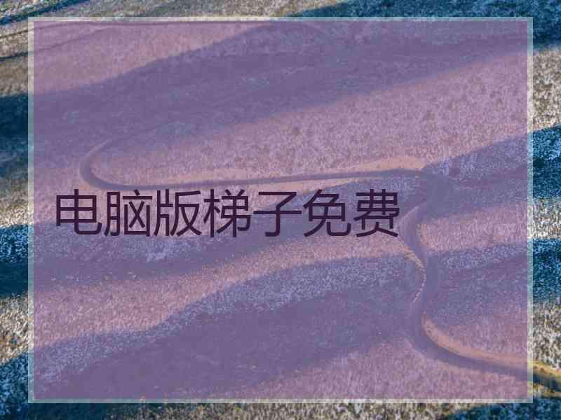 电脑版梯子免费