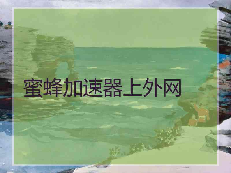 蜜蜂加速器上外网