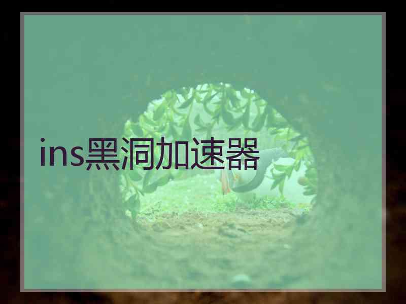 ins黑洞加速器