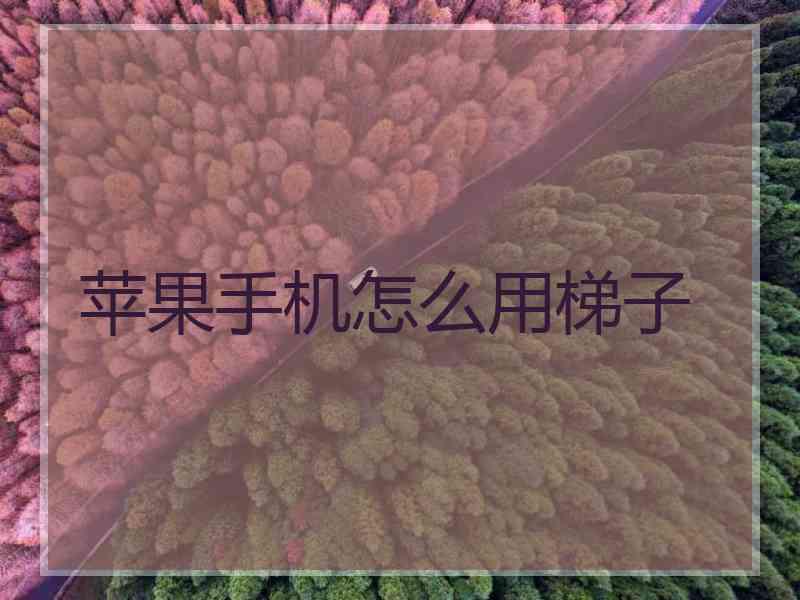 苹果手机怎么用梯子
